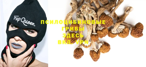 шишки Навашино