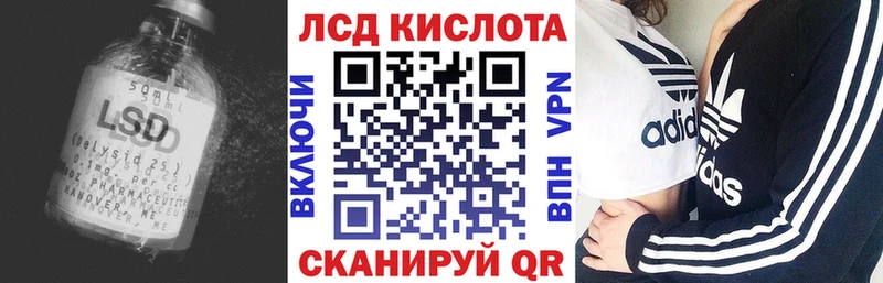 мориарти Telegram  ОМГ ОМГ как войти  Тулун  ЛСД экстази ecstasy 